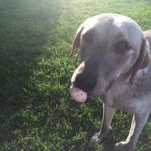 Meet your Posher, Angela